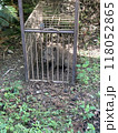 箱罠で捕獲されたイノシシ（正面） 118052865