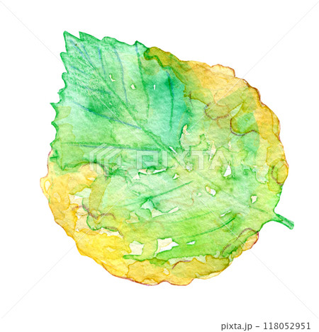 水彩イラスト　紫蘇の葉の天ぷら 118052951