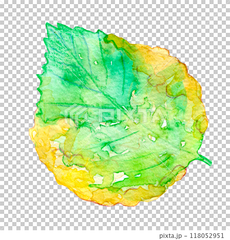 水彩イラスト　紫蘇の葉の天ぷら 118052951