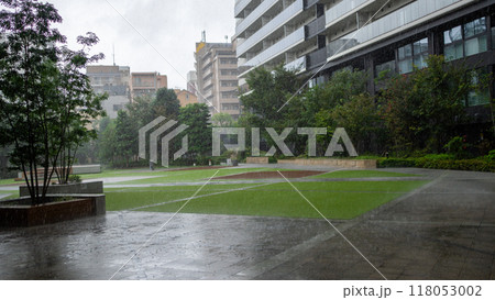 雨の公園 雨の公園 118053002