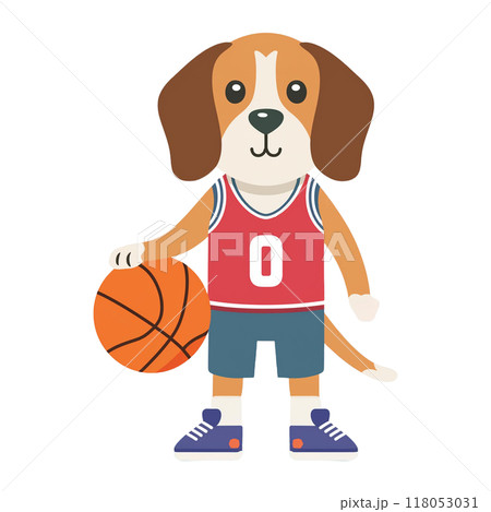 バスケットボールをするビーグル4／チラシやポスター用素材 118053031