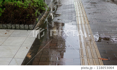 雨に濡れた歩道 雨に濡れた歩道 118053064