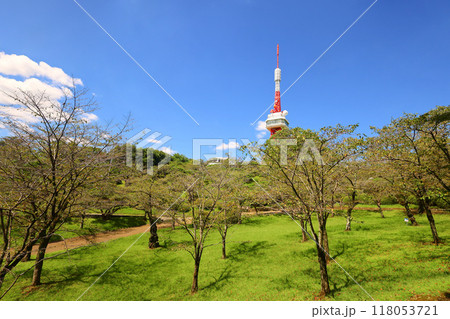 宇都宮市　宇都宮タワーと八幡山公園 118053721