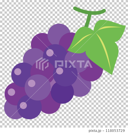 Grapes Kyoho Fruits Grapes Kyoho Fruits 118053729