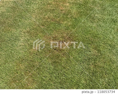 猛暑で傷んだ芝生 猛暑で傷んだ芝生 118053734