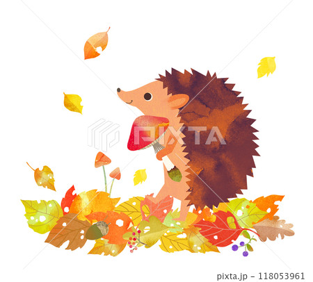 ハリネズミ 118053961