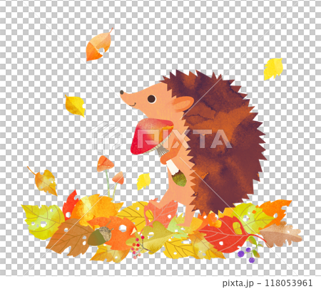 ハリネズミ 118053961