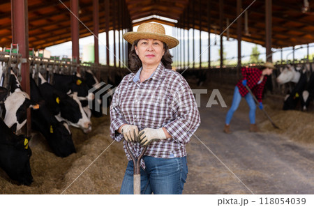 Portrait of mature farm owner in cowshed Portrait of mature farm owner in cowshed 118054039