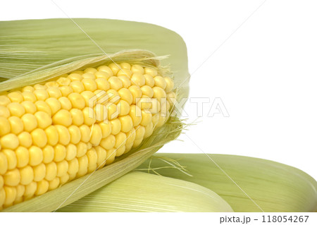 Close-up of fresh yellow corn on the cob with green husks. Isolated on white background Close-up of fresh yellow corn on the cob with green husks. Isolated on white background 118054267