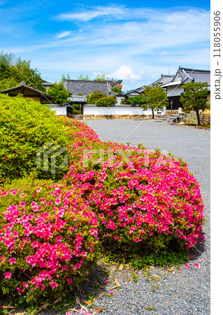 【京都風景】随心院　サツキも楽しめる庭園の美 118055906