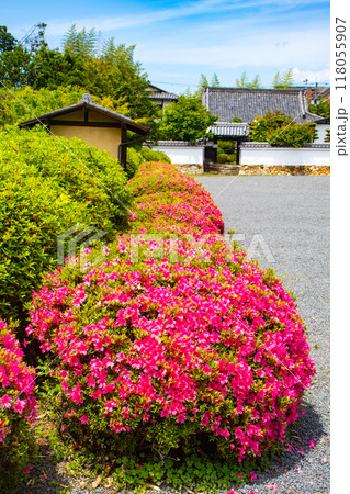 【京都風景】随心院 サツキも楽しめる庭園の美 【京都風景】随心院 サツキも楽しめる庭園の美 118055907