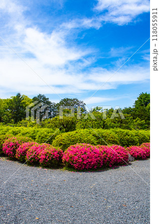 【京都風景】随心院 サツキも楽しめる庭園の美 【京都風景】随心院 サツキも楽しめる庭園の美 118055911