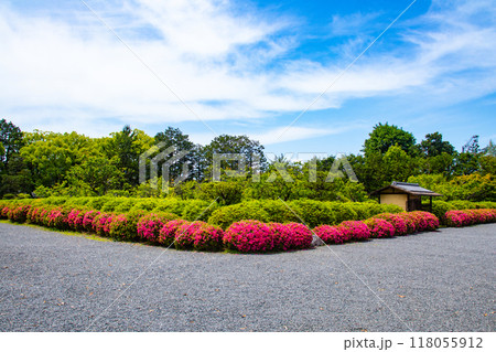 【京都風景】随心院 サツキも楽しめる庭園の美 【京都風景】随心院 サツキも楽しめる庭園の美 118055912