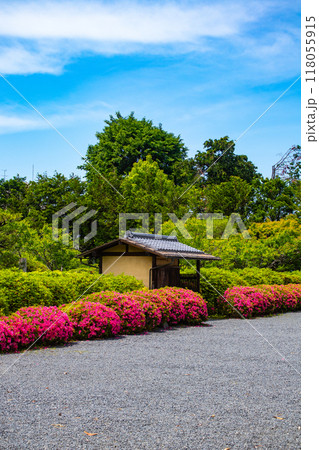 【京都風景】随心院　サツキも楽しめる庭園の美 118055915