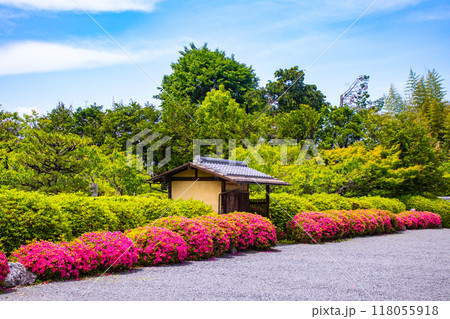 【京都風景】随心院　サツキも楽しめる庭園の美 118055918