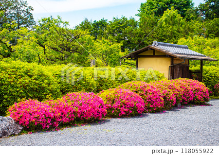 【京都風景】随心院 サツキも楽しめる庭園の美 【京都風景】随心院 サツキも楽しめる庭園の美 118055922