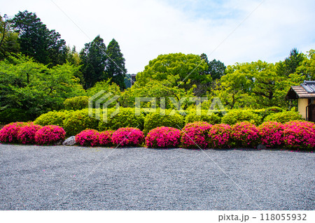 【京都風景】随心院　サツキも楽しめる庭園の美 118055932