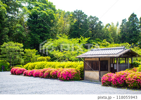 【京都風景】随心院　サツキも楽しめる庭園の美 118055943