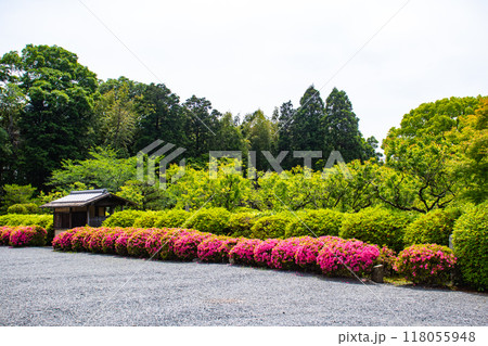 【京都風景】随心院　サツキも楽しめる庭園の美 118055948