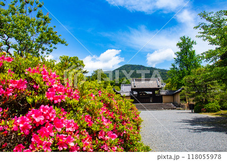 【京都風景】随心院 サツキも楽しめる庭園の美 【京都風景】随心院 サツキも楽しめる庭園の美 118055978