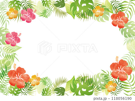 ハイビスカスの南国風フレーム 118056190