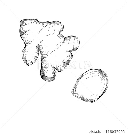 Ginger root ad slice ink graphics. Hand drawn monochrome food illustration, hot spice vegetables, relish for tea, asian soup. For product packing, label, logo design. 118057063