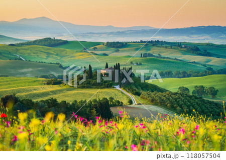 Val d'Orcia, Tuscany. Podere in San Quirico d'Orcia, beautiful spring tuscan landscape in Italy. Val d'Orcia, Tuscany. Podere in San Quirico d'Orcia, beautiful spring tuscan landscape in Italy. 118057504