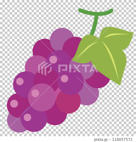 葡萄先鋒巨峰果 葡萄先鋒巨峰果 118057572