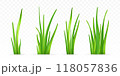 3d green grass. 118057836