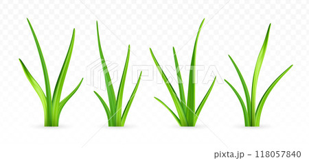 3d green grass. 118057840