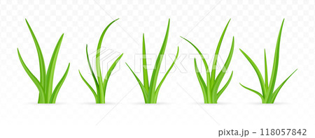 3d green grass. 118057842