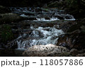 山の中の清流 118057886