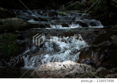 山の中の清流 118057886