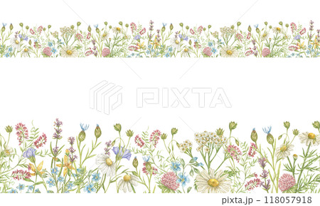 Watercolor seamless border with wildflowers of clover, daisies, flax and others. Seamless pattern for textiles, postcards, stationery, tape, glass wrappers, tableware border 118057918