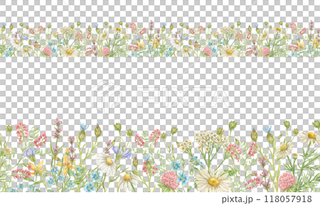 Watercolor seamless border with wildflowers of clover, daisies, flax and others. Seamless pattern for textiles, postcards, stationery, tape, glass wrappers, tableware border 118057918
