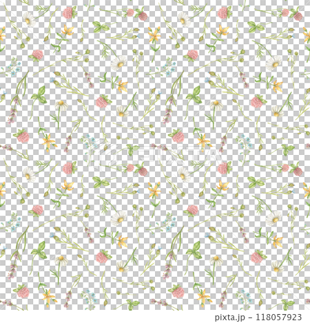 Seamless watercolor pattern with wildflowers of chamomile, clover, lavender and others. The pattern is suitable for delicate wallpapers, textiles, clothes, backgrounds 118057923