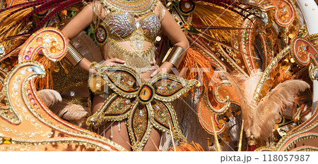A woman in costume dancing on carnival A woman in costume dancing on carnival 118057987