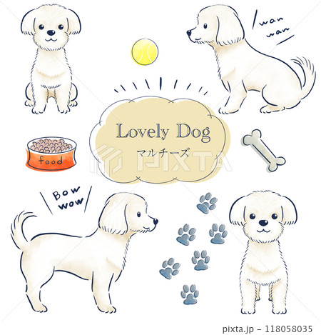 マルチーズの水彩風の手描きイラストセット マルチーズの水彩風の手描きイラストセット 118058035