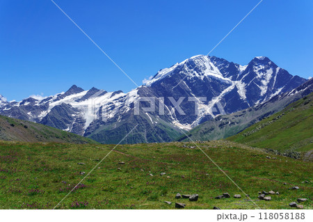 mountain landscape with slope with alpine weadows on a foreground 118058188