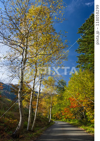 《奥飛騨の紅葉》平湯インター周辺の朝景色 《奥飛騨の紅葉》平湯インター周辺の朝景色 118058299