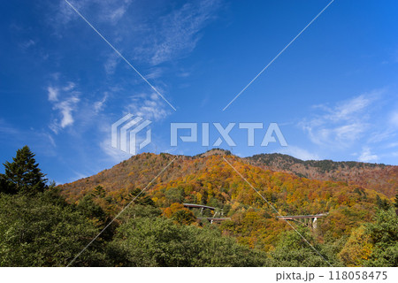《奥飛騨の紅葉》平湯温泉街から見るR158平湯トンネル方面 118058475