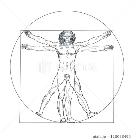 Vitruvian man, with fig leaf. Depiction of perfect human proportions with the nature, cosmos and geometry. A man in the center of a circle and a square, also a reference to the squaring of the circle. 118058490