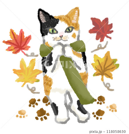 紅葉が舞う中を歩くマフラーをした三毛猫 118058630
