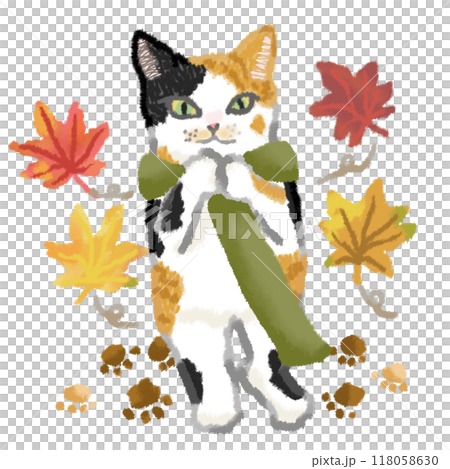 紅葉が舞う中を歩くマフラーをした三毛猫 118058630