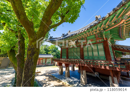 ソウル 世界文化遺産の昌徳宮 118059014
