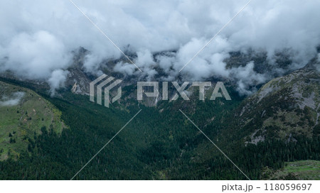 Beautiful high altitude forest mountain landscape in the fog Beautiful high altitude forest mountain landscape in the fog 118059697