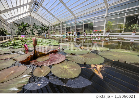 The Greenhouse at Umi Jigoku, Cultivating Yufuin Geothermal WondersMay 16 2024 The Greenhouse at Umi Jigoku, Cultivating Yufuin Geothermal WondersMay 16 2024 118060021