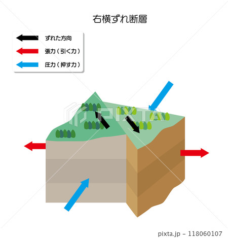 地震のメカニズム　右横ずれ断層 118060107