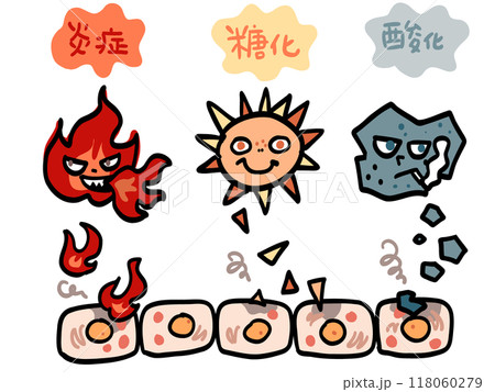 細胞を傷つけて老化を進める要因 細胞を傷つけて老化を進める要因 118060279