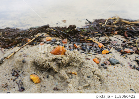 Beautiful pieces of amber among seaweed on a sandy beach 118060422